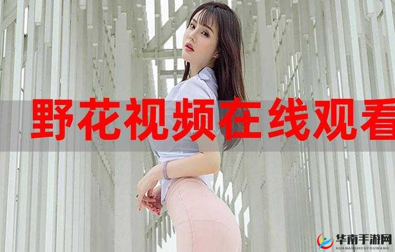 野花视频免费观看高清完整版韩国：相关内容精彩呈现