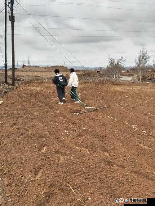 旅行者和丽莎拔萝卜视频：充满趣味的田园劳作时刻