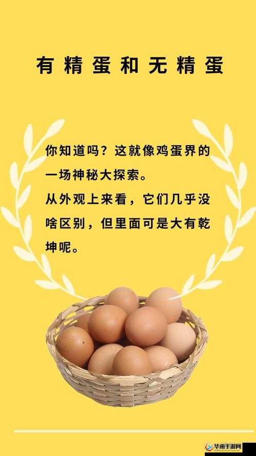 优质内容：探索播蛋精品综合精品 AAA 的魅力与价值