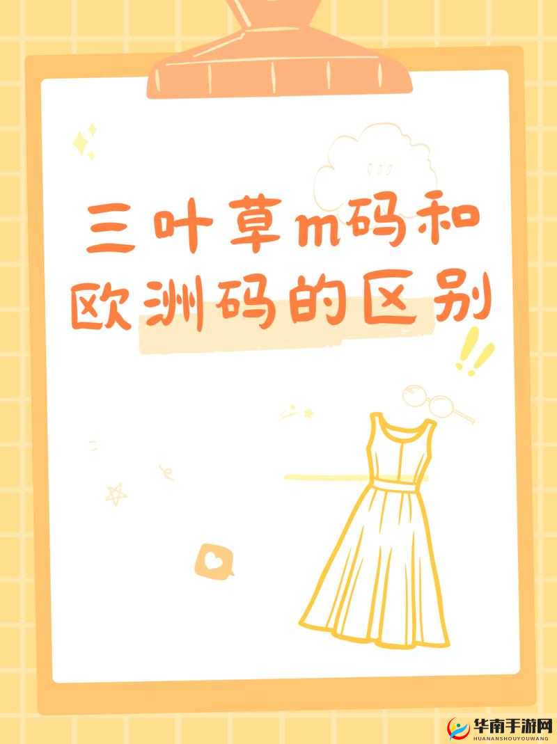 三叶草 M 码与亚洲码区别详细解读