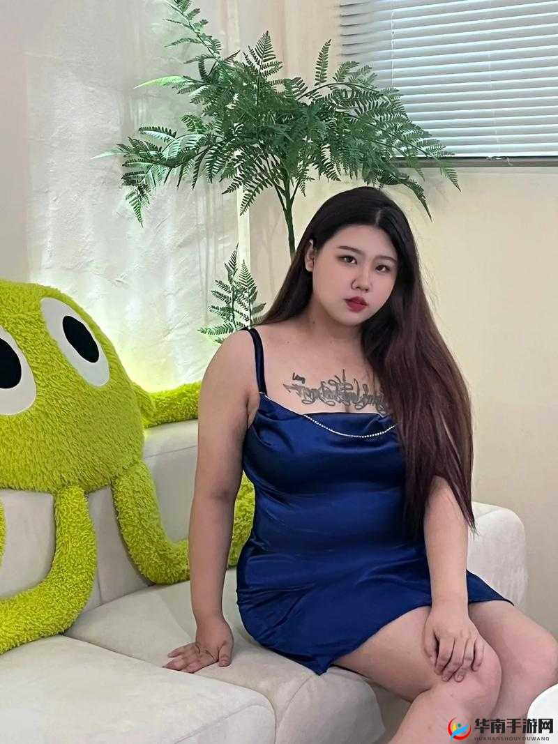 大陆 BBw：展现独特魅力的丰满之美