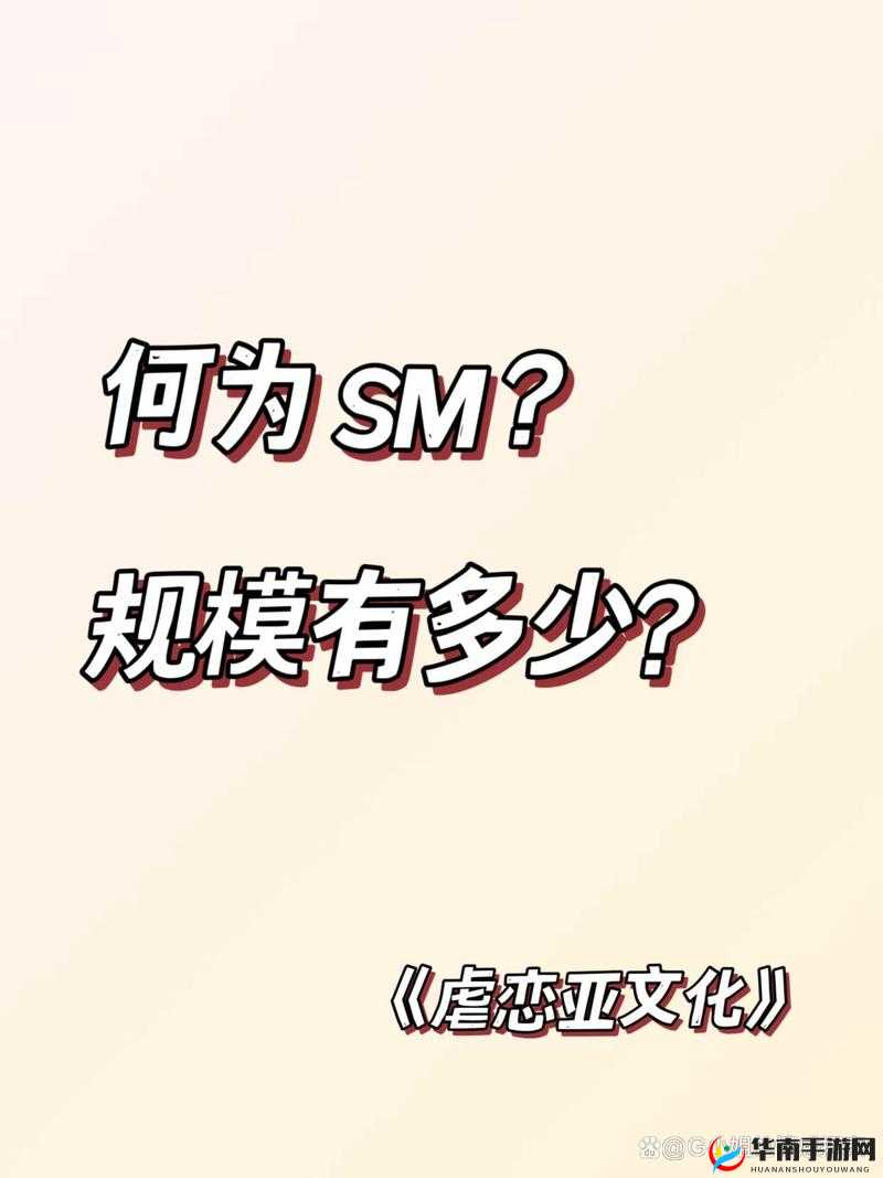 S 与 M 究竟哪个更具享受魅力探讨