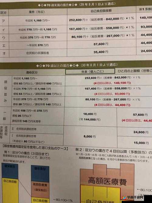 私人医院的特殊治疗日本：探寻其背后的故事与意义