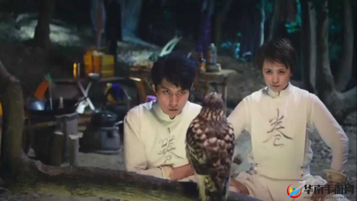 麻花影视免费观看电视剧铁血保镖：热血江湖的英雄传奇
