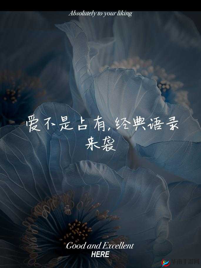 他像疯了一样占有了她：这是爱还是暴力