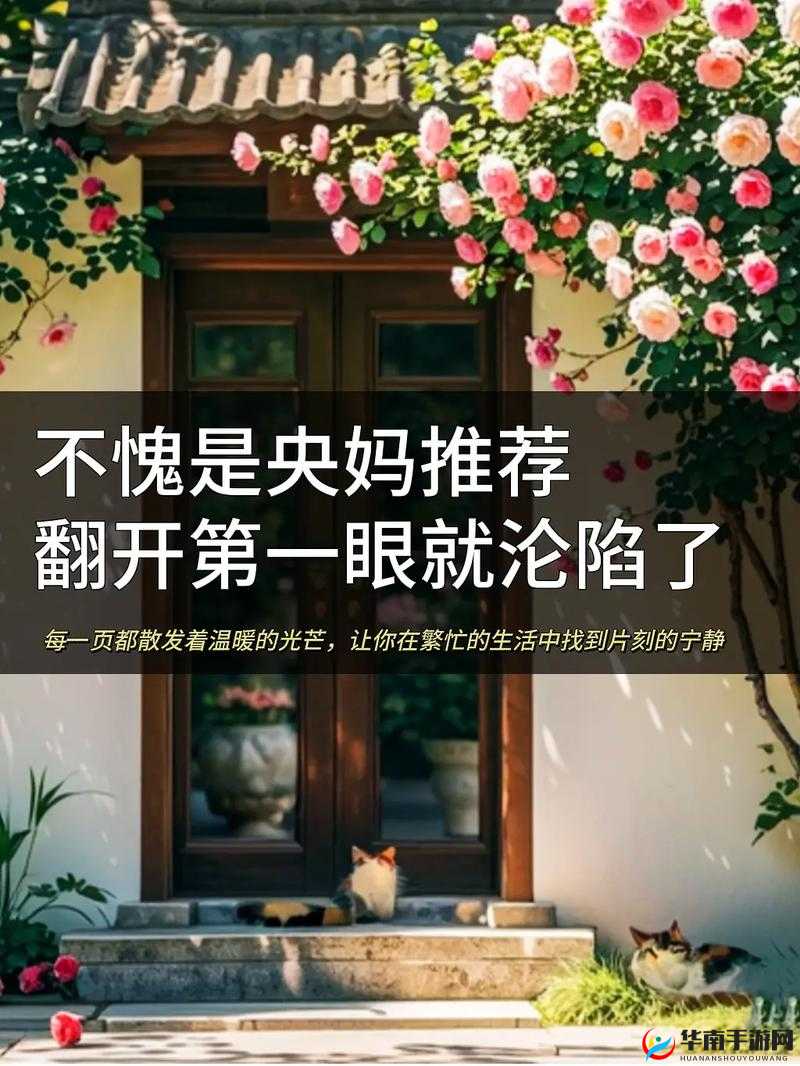 免费观看 windows 中国，带你领略不一样的世界