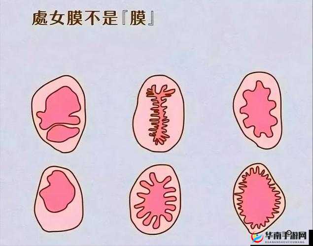 关于处破女处破全过第一次的详细过程与感受探讨