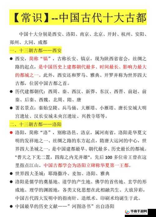关于 selang 的独特魅力与应用探索
