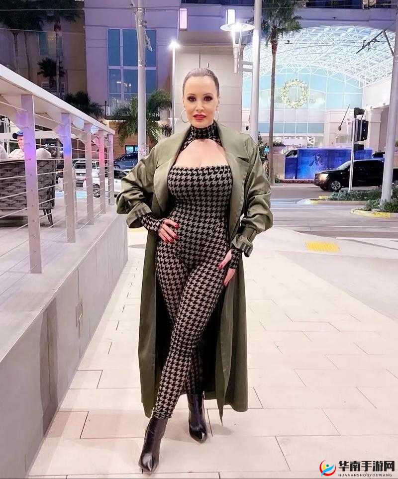 lisaann 一位备受关注的公众人物的故事