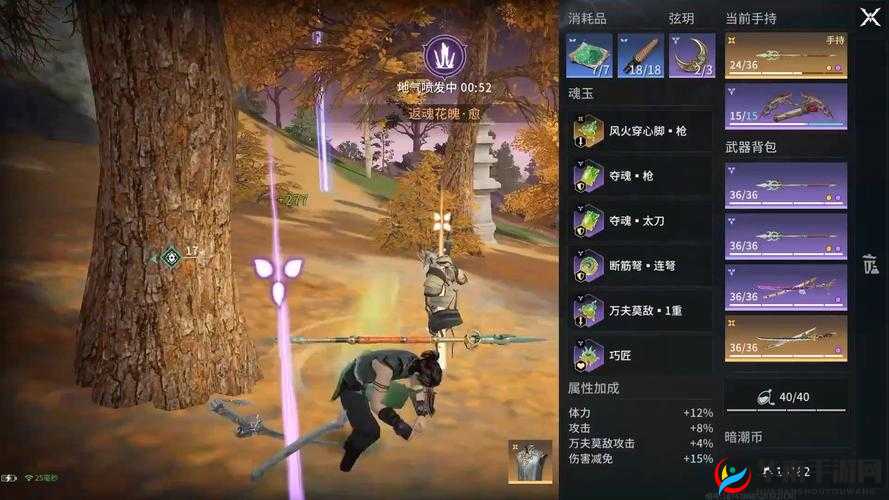 傲剑奇缘深度解析，技能系统升级高效技巧与资源管理艺术