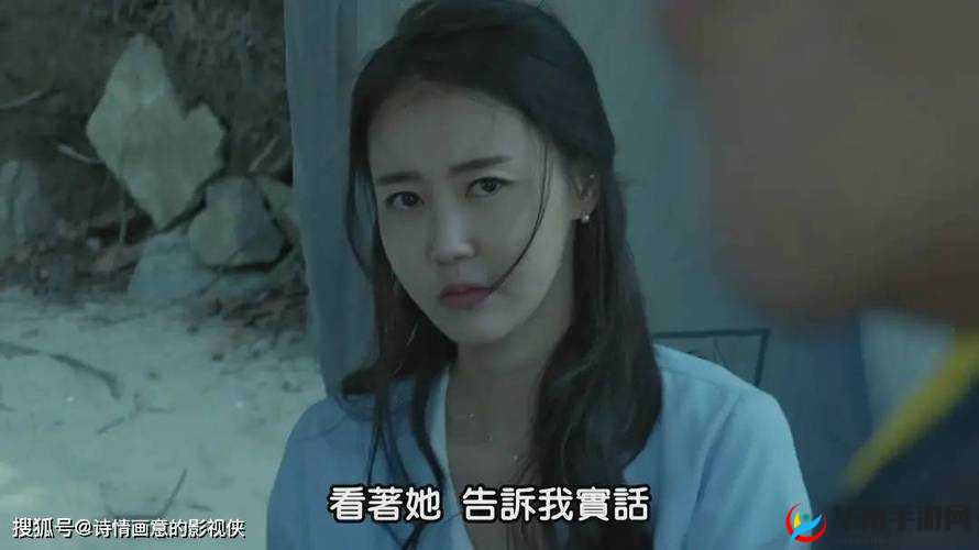 公与 2 个媳 hd 免费看：家庭伦理剧还是低俗片？