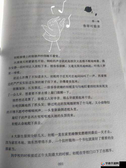 三人行必有双插头，但枝笔趣阁里的那些事儿