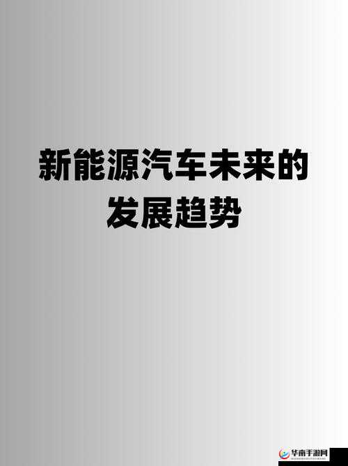 探索丰年经继拇 4 的机能量发展的未来方向