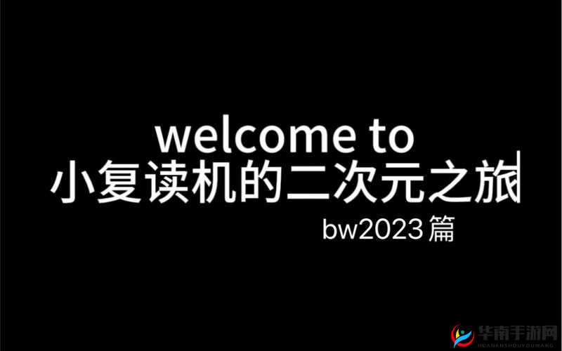 老 BWBWBWBWBW 对欢迎您：开启全新的友好交流之旅