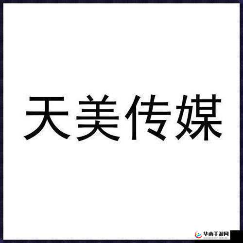天美传媒有限公司宣传片：展现创新与卓越的行业典范