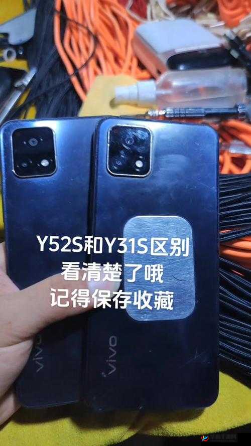 成色好的 y31s 标准版官网明确表示解约 - 平台相关情况解析