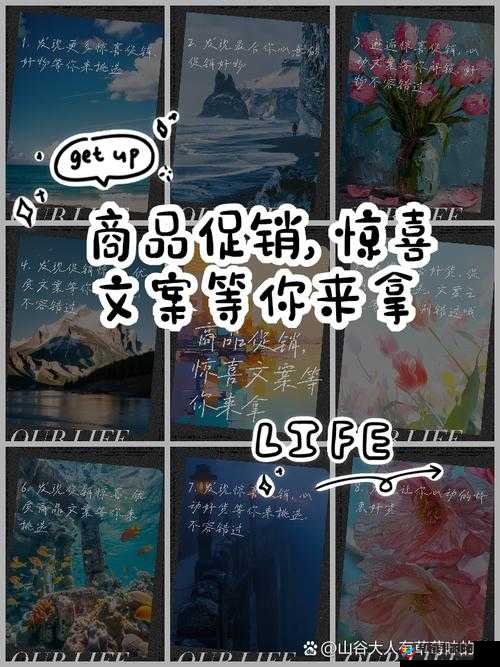 欧洲购物新选择：发现更多惊喜与优惠