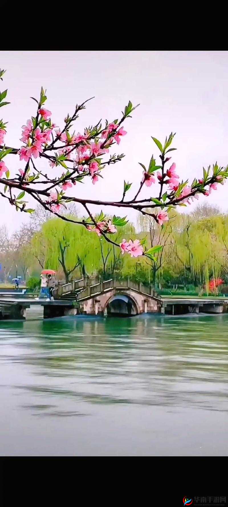 亭亭玉立的国色天香四月天——如诗如画的美好时光