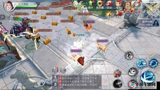 大唐无双手游，月卡玩家高效发展策略与心得分享详解