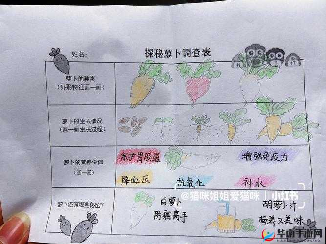 小孩半夜喂姐姐吃萝卜好吗这一行为引发的思考与探讨
