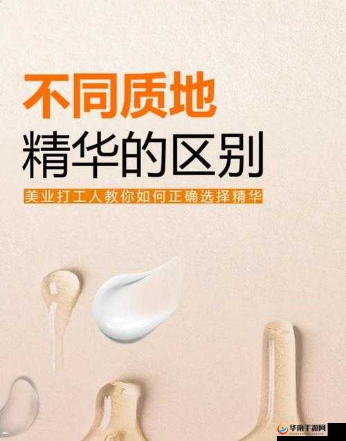 精华区二区区别 88888：深度剖析其差异奥秘