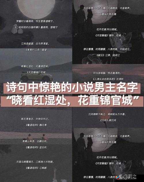 小说当姨妈醉酒后最经典十首诗：探寻文学中的诗意醉态