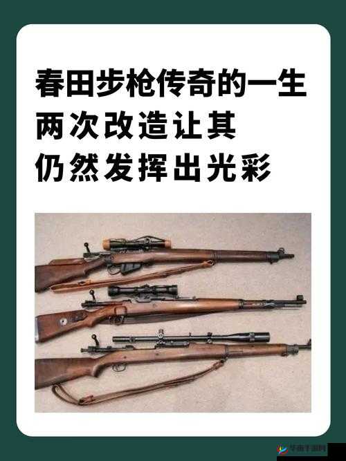 女婿有劲枪枪到底：展现坚韧力量与不懈奋斗的传奇