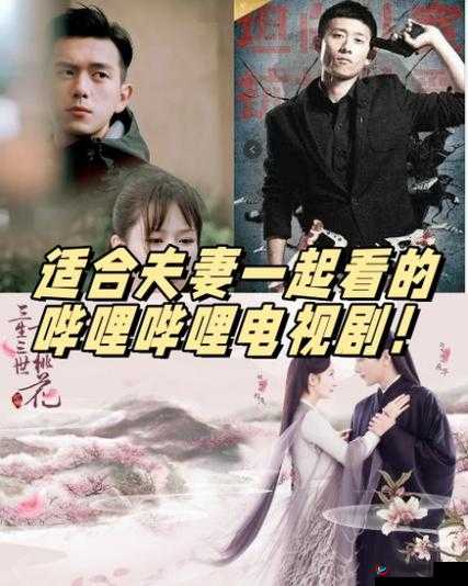 哔哩哔哩适合夫妻观看的经典电视剧推荐