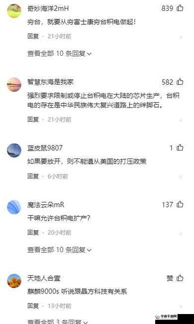 台积电直言被指描述太夸张主播直言引发广泛讨论和争议