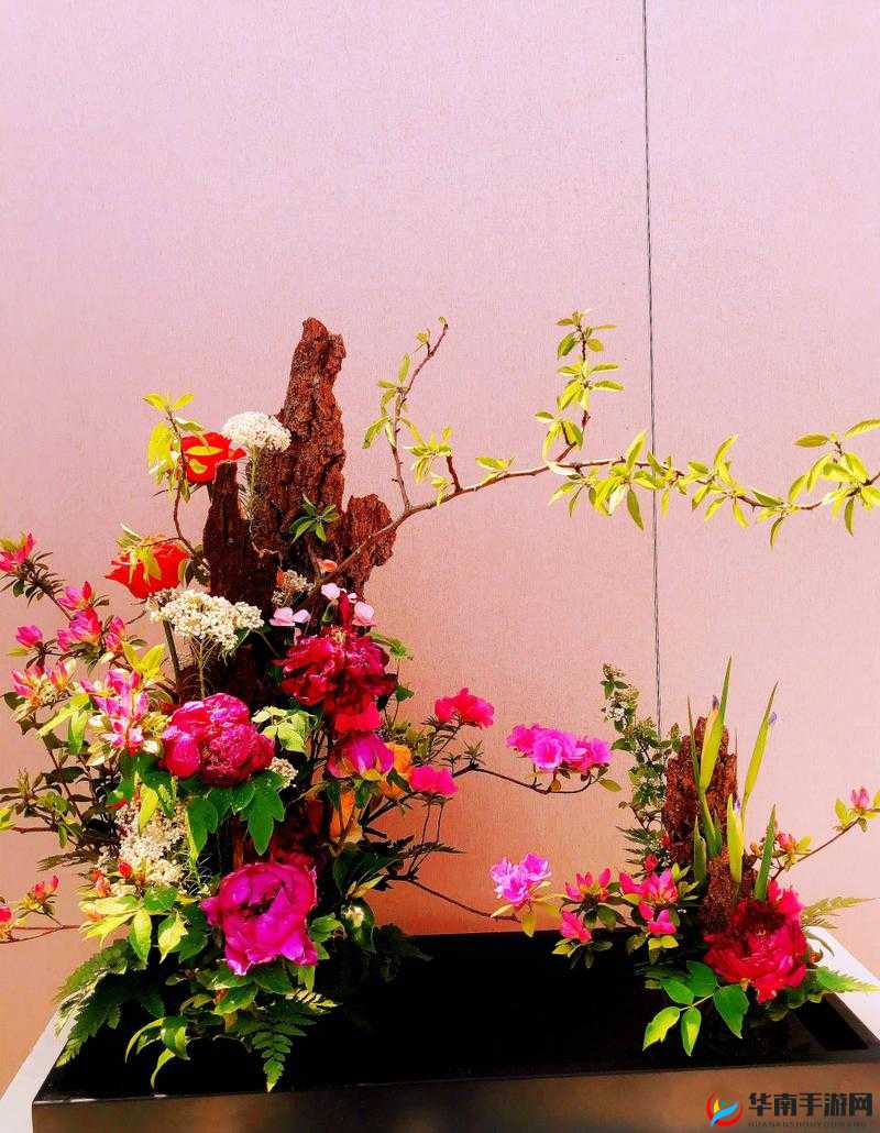 二曲亭亭玉女峰邻水插花像谁用之深入探究与详细解读