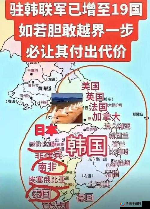 日本三线和韩国三线品牌对比之各自特点与市场表现分析