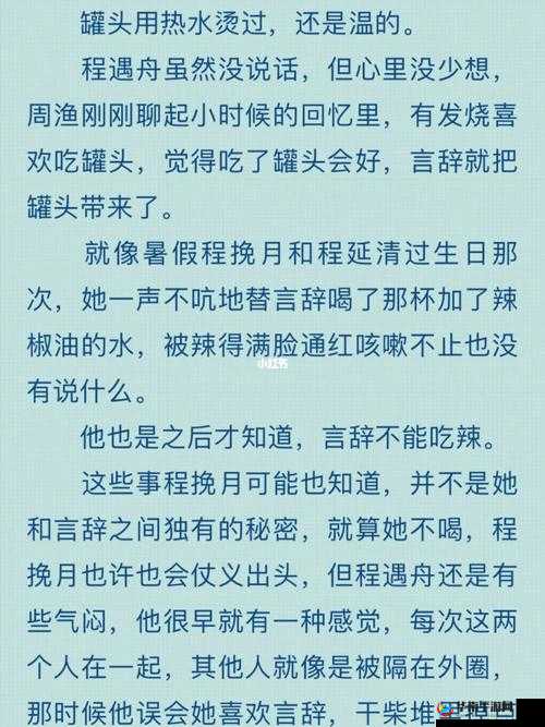 三人行必有双插头但枝的奇妙探索之旅