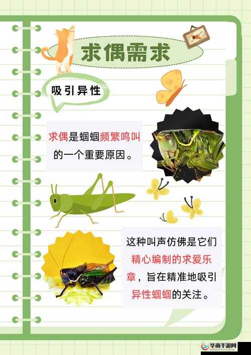 三叶草 gw9355 ：探索其独特魅力与潜在价值的奥秘