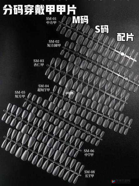 揭秘欧亚专线 S 码和 M 码区别热度到现在都不减：背后原因引人深思