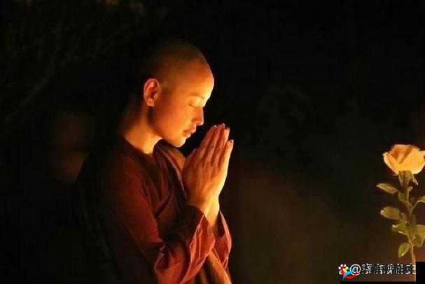 尼姑师太：青灯古佛下的情感追求