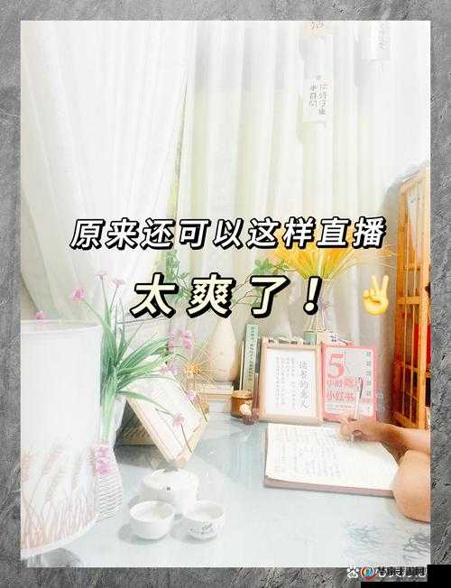 夜月直播 APP：畅享精彩直播时光