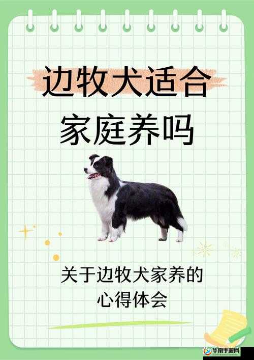 狗狗射速太快对女生有伤害吗：相关问题的深度探讨