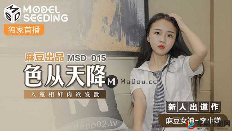 麻豆文化传媒网站入口免费：警惕非法网站带来的风险与危害