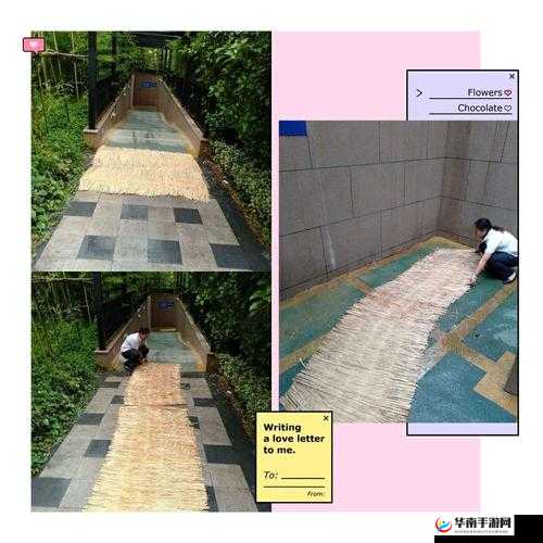 设计自己初次给七个流浪车库：一份独特的爱心行动记录