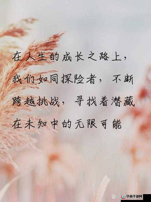XXXX16—18：跨越青春的成长之路