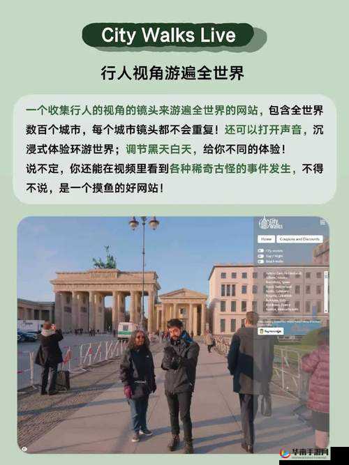 干 B 网：独特视角探索网络世界新风貌