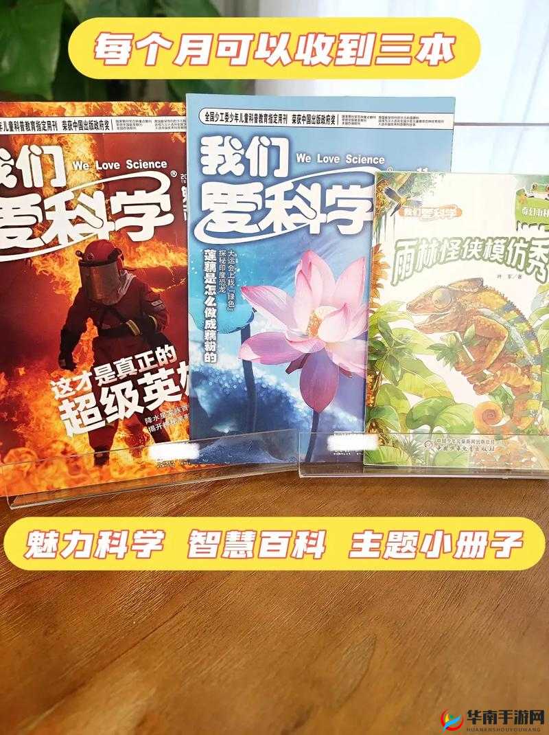日本成人一区的魅力：探索未知的世界