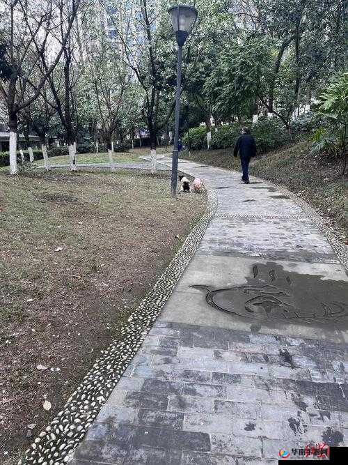 震惊某男子竟在公园进行如此行为，引众人围观