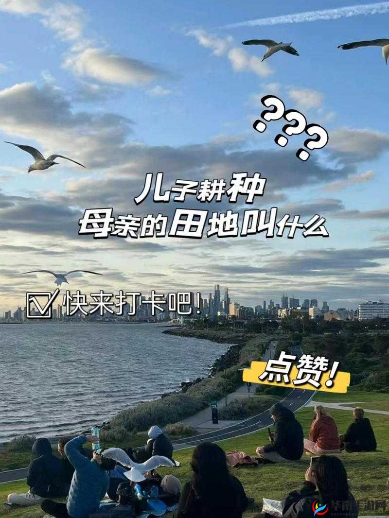 儿子耕种母亲的田地叫什么：这背后有着怎样的故事和意义