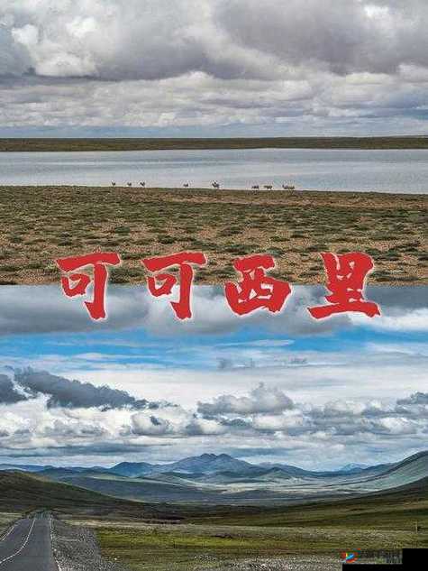 无人区编码 6229jm 相关神秘探索之旅