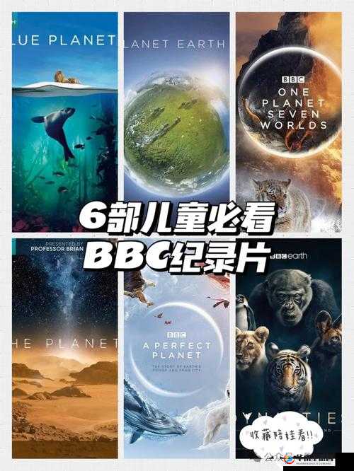 成人影片播放器下载：探索未知的视觉世界