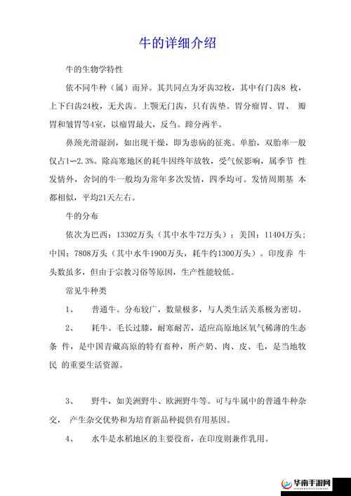 69 精品人人人人人人人人人：关于它的详细介绍与分析
