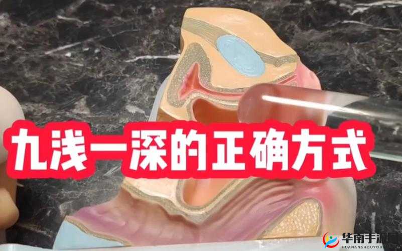 九浅一深和左三右三如何搭配方法之详细解析与实践探讨