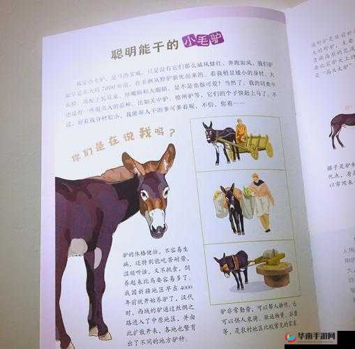 404 污污带你探索未知的奇妙世界