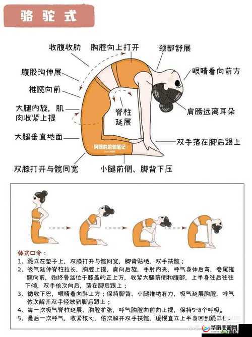 伽罗ちゃん腿法正确解释：其独特腿法奥秘大揭秘
